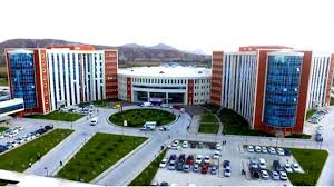 Sivas Numune Hastanesi Çiçek Siparişi