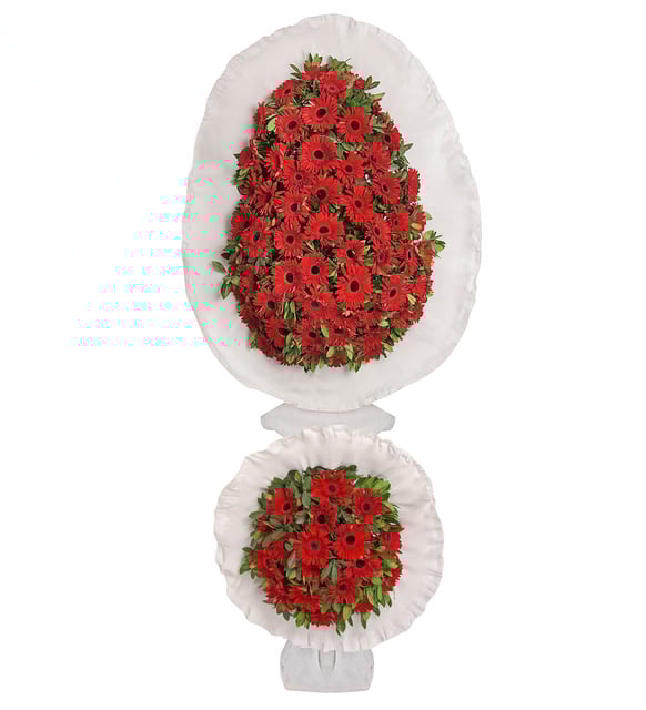 Çelenk Çiftli (canlı)